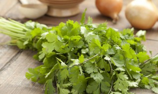 如何在阳台种香菜 阳台种香菜的方法和步骤