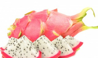 阳台种火龙果方法 阳台可以种火龙果吗|附结果图