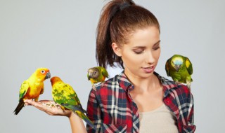 鸟要怎么养冬天(鸟怎么过冬天)