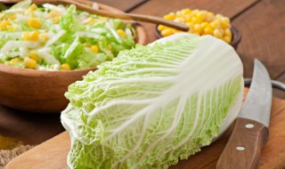小白菜怎么种植 小白菜怎么种植方法