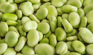 蚕豆怎么种植方法（蚕豆怎么种植方法如下图片）