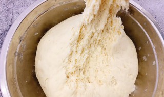 蒸馍发面怎么发 蒸馒头发面怎么发