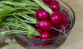 樱桃萝卜怎么做 樱桃萝卜怎么做菜