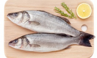 微波炉蒸鲈鱼的做法（微波炉蒸鲈鱼的做法蒸几分钟）