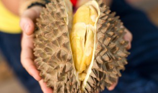 微波炉烤榴莲的做法（微波炉怎么烤榴莲）