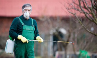 杀家里潮虫小妙招有哪些 家里潮虫多不要着急,只需一个小方法,快速消灭