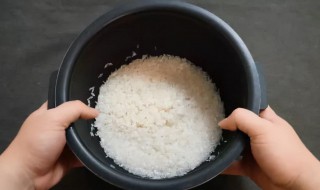 小电锅怎么蒸米饭（电锅怎么蒸米饭）