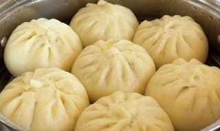 发面包子怎么蒸 发面包子怎么蒸多长时间