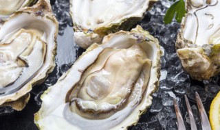 微波炉烤生蚝的做法 微波炉如何烤生蚝