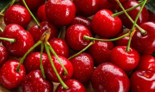 怎么防止鸟吃樱桃 有什么办法不让鸟吃樱桃