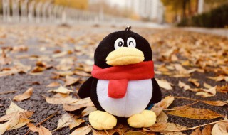 qq怎么接龙（qq怎么接龙名字怎么按顺序接）