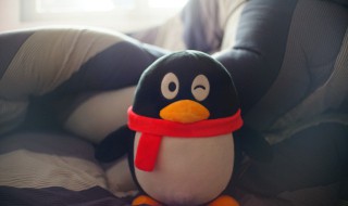 qq群怎么打卡（qq群怎么打卡签到不显示图片）