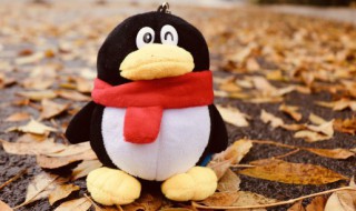 qq空间智能挂件怎么取消（qq空间的挂件怎么取消）