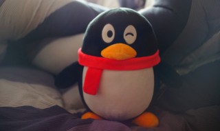 qq上同城服务怎么发布（怎么在qq上同城服务发布信息）