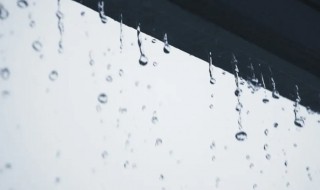 梅雨季节家里如何防潮防霉 梅雨天气怎么防潮发霉