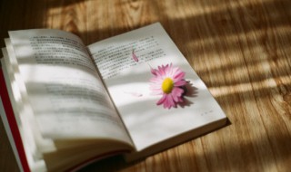 三点水代表财富的字（三点水富贵的字）