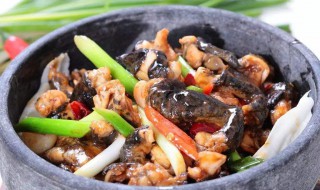 石鸡怎么烧 石鸡怎么烧嫩
