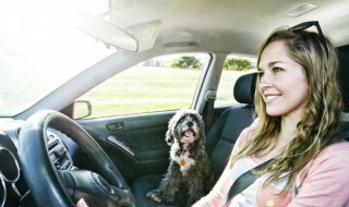 车子过户需要什么材料（杭州车子过户需要什么材料）