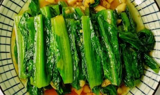 油麦菜怎么烧（油麦菜怎么烧好吃）