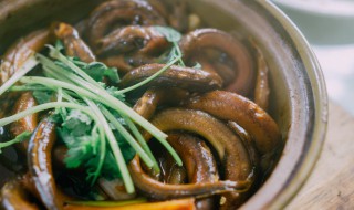 鳝鱼怎么烧（鳝鱼怎么烧好吃的制作视频）
