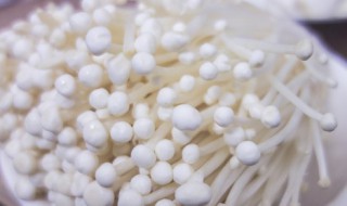 海鲜菇怎么烧 海鲜菇怎么烧好吃