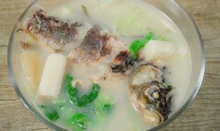 母狗喝的鲫鱼汤怎么做（给母狗喝的鲫鱼汤怎么做）