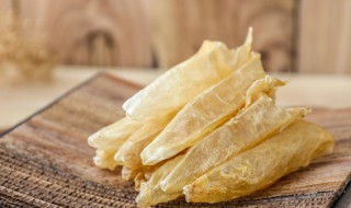 花胶怎么烧 花胶的做法大全