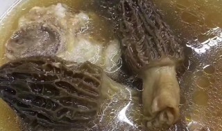 羊肚菌怎么做汤 羊肚菌怎么做汤好喝