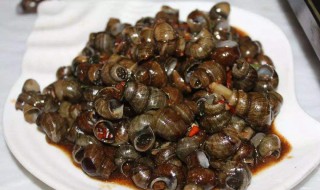 田螺肉怎么烧 田螺肉怎么烧好吃