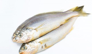 溪鱼怎么烧（溪鱼怎么烧补钙）