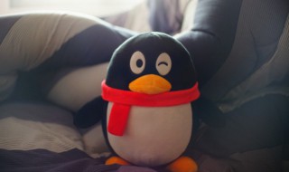 苹果怎么保存qq视频（苹果怎么保存qq视频文件）