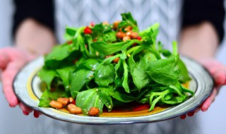 冰菜怎么吃好吃（冰菜怎么吃好吃啊?）