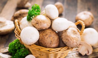 白蘑菇怎么做汤 白蘑菇怎么做汤好吃