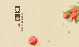 立夏文章句子(关于立夏的优美句子)