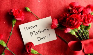 母亲节手抄报内容诗句 母亲节手抄报的诗句