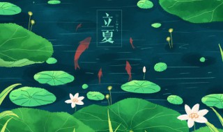 带有立夏两个字的诗句 有夏天两个字的诗句