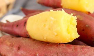 红薯发芽了怎么种植好 红薯发芽了种植步骤