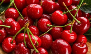 樱桃的英语怎么读 英语怎么读樱桃的英语怎么读