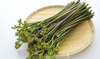 水蕨菜怎么做好吃 水煮蕨菜怎么吃