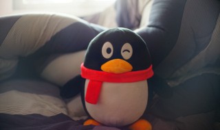 qq怎么找回删除的聊天记录（qq删除聊天记录可以恢复吗）