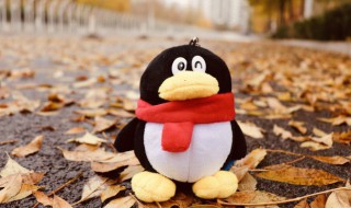 qq怎么换字体 qq怎么换字体样式免费