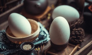 大鹅蛋怎么做好吃（大鹅蛋做法）
