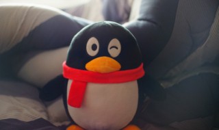 qq怎么删除收藏的表情包（qq怎么删除收藏的表情包OPPO）