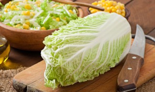 阳台种什么菜 阳台种什么菜最好