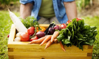 水培胡萝卜的方法 水培胡萝卜的方法和步骤视频