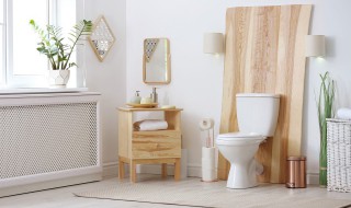 卫生间臭味怎么消除(卫生间的臭味怎么消除)