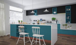 家里放什么防蟑螂（家里放什么可以防蟑螂）