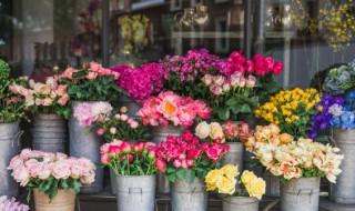 超长花期的鲜切花有哪些（花期比较长的鲜切花有哪些）