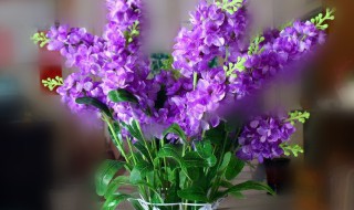 怎么样才能让风信子鲜花变成干花 怎么样才能让风信子鲜花变成干花呢