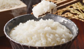 煮锅怎么蒸米饭（小电煮锅怎么蒸米饭）